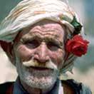 Multicultural photos of older persons