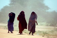 Somali refugee women walk in the dust at Ifo camp near Dadaab, about 80 km (50 miles) from Liboi.