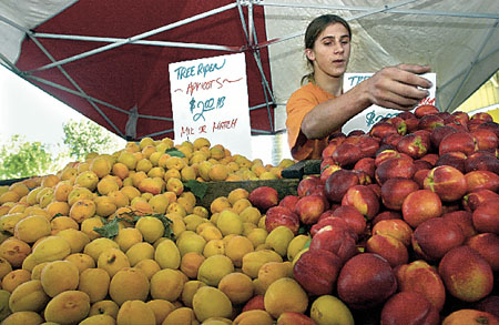 Christopher Buyense puts out fruit inside the Pony Express Pavilion Buyense works for the Fruit Factory out of Sanger, Calif, in this 2001 photo. (Lisa J.Tolda/RGJ file)