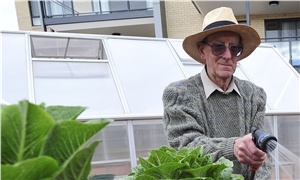 Jack Atkins, 78, waters lettuce at the Goodwin Village independent living units at Ainslie.