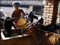 A milk farmer who has taken a pension scheme in Bihar