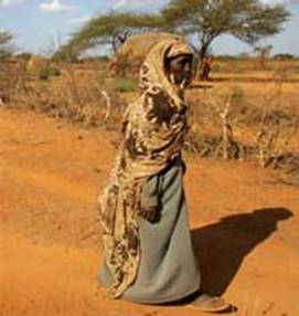 An elderly Kenyan woman walks to a food distribution centre in Burmayo.