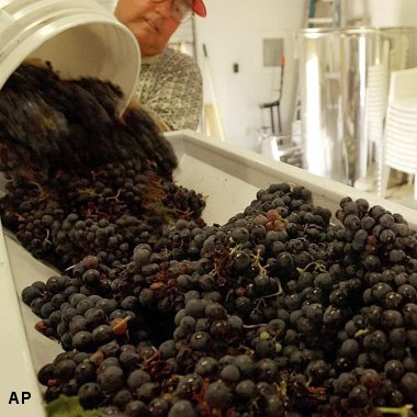 عصير العنب ربما يوقف تدهور صحة المتقدمين في العمر