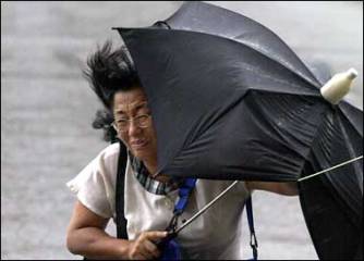 UMBRELLA IMAGE