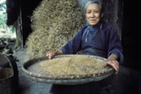 ©FAO/9957/Florita Botts